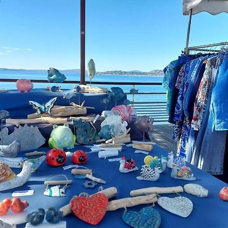Charmant Mazet - Plage A Pied Saint-Peïre-sur-Mer エクステリア 写真