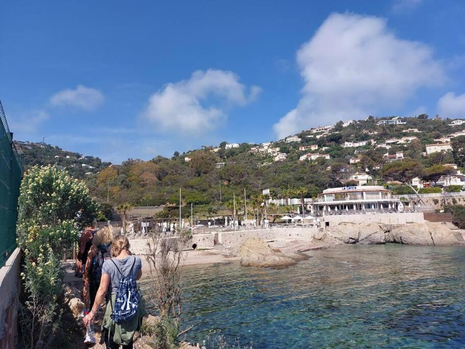 Charmant Mazet - Plage A Pied Saint-Peïre-sur-Mer エクステリア 写真
